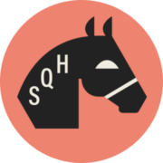 (c) Sq-horses.de